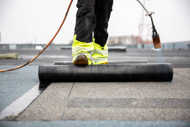 Best Roof Replacement  in Anderson, MO